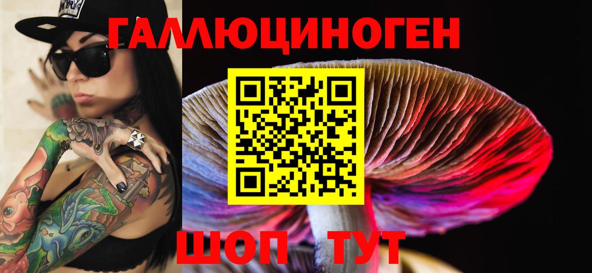 Галлюциногенные грибы Cubensis  Вход с VPN  Галлюциногенные грибы прущие грибы  Ачинск 