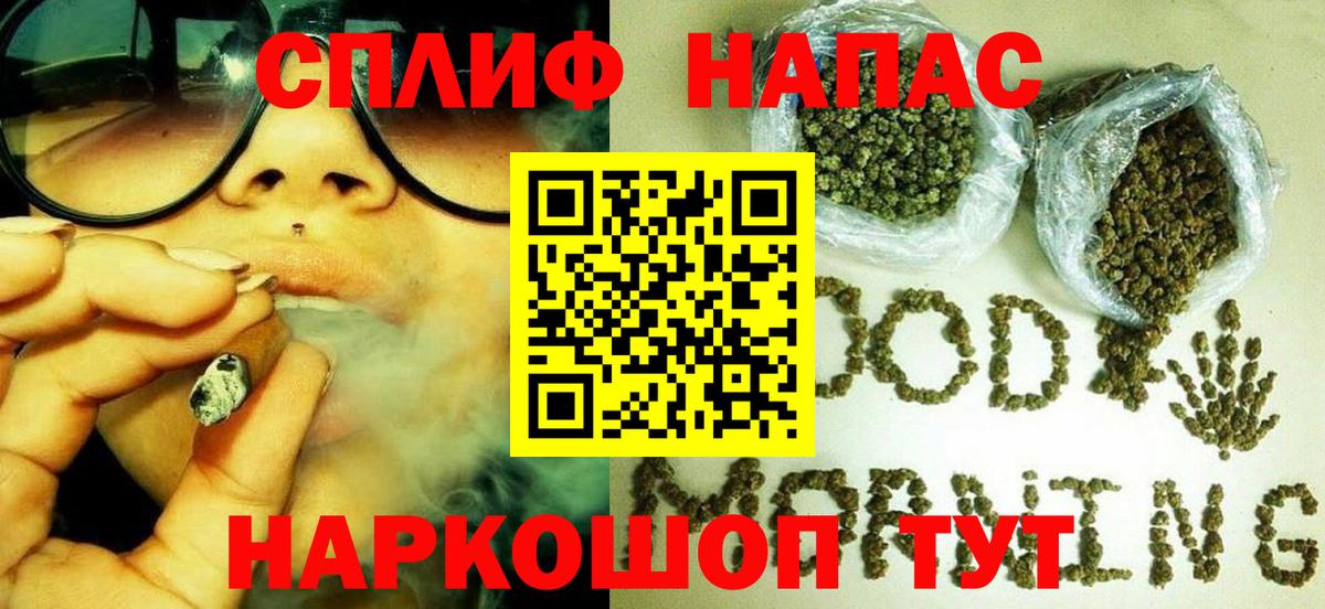 Конопля гибрид Ачинск